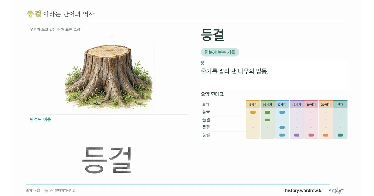 등걸 대표 이미지