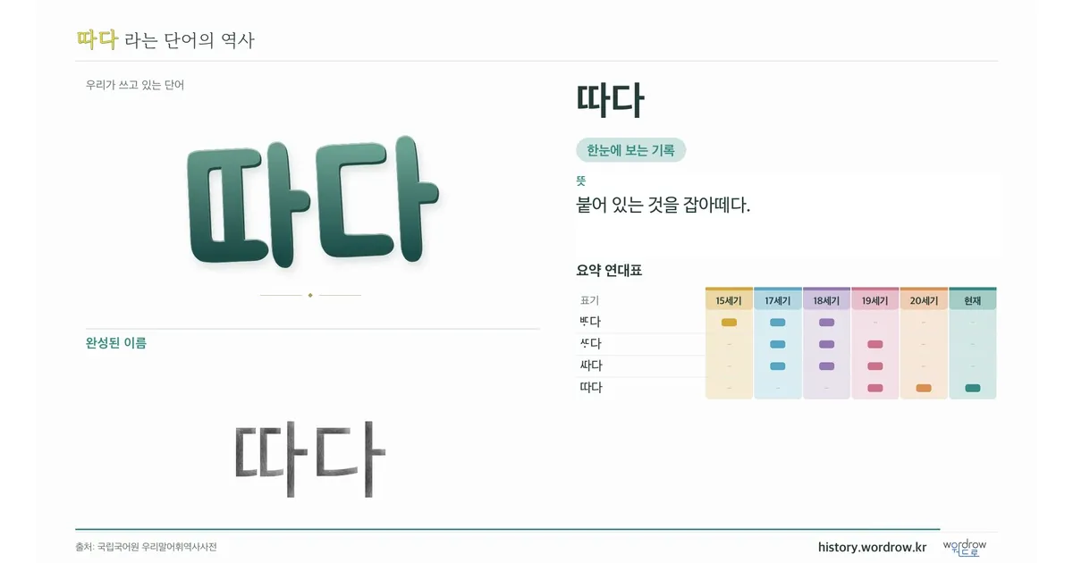 따다 대표 이미지