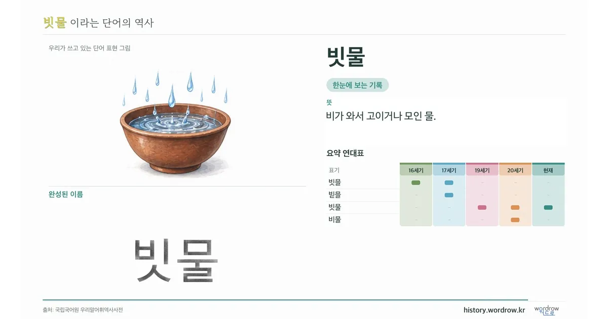 빗물 대표 이미지