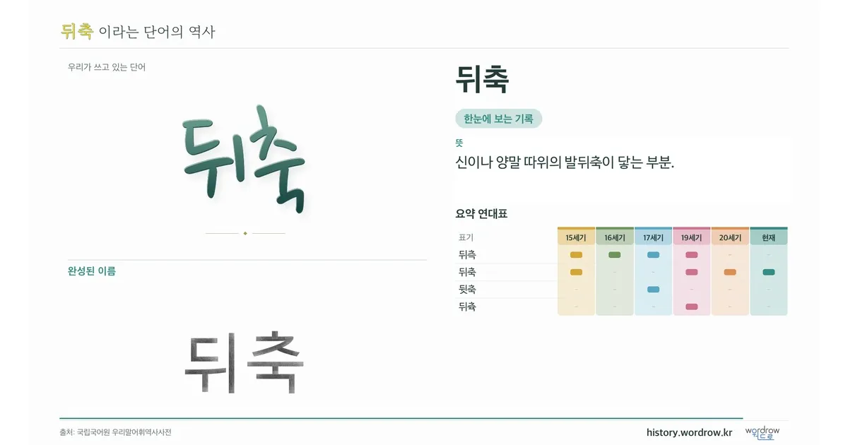 뒤축 대표 이미지