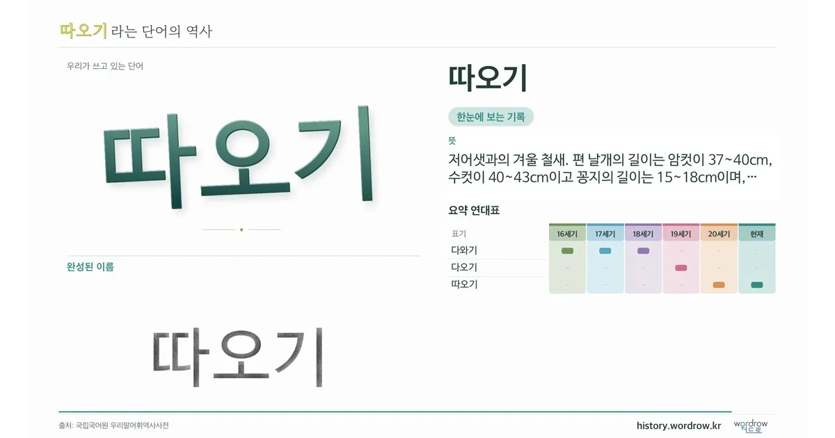 따오기 대표 이미지