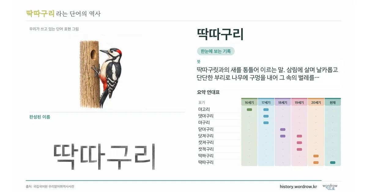 딱따구리 대표 이미지