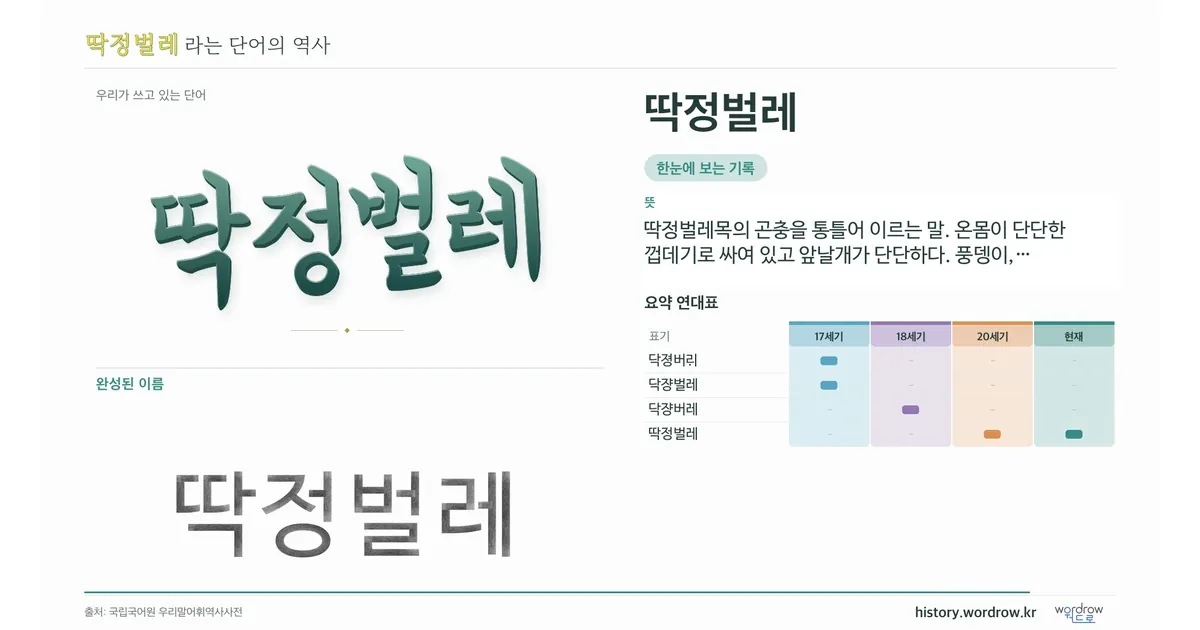 딱정벌레 대표 이미지