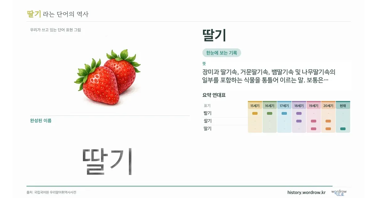 딸기 대표 이미지