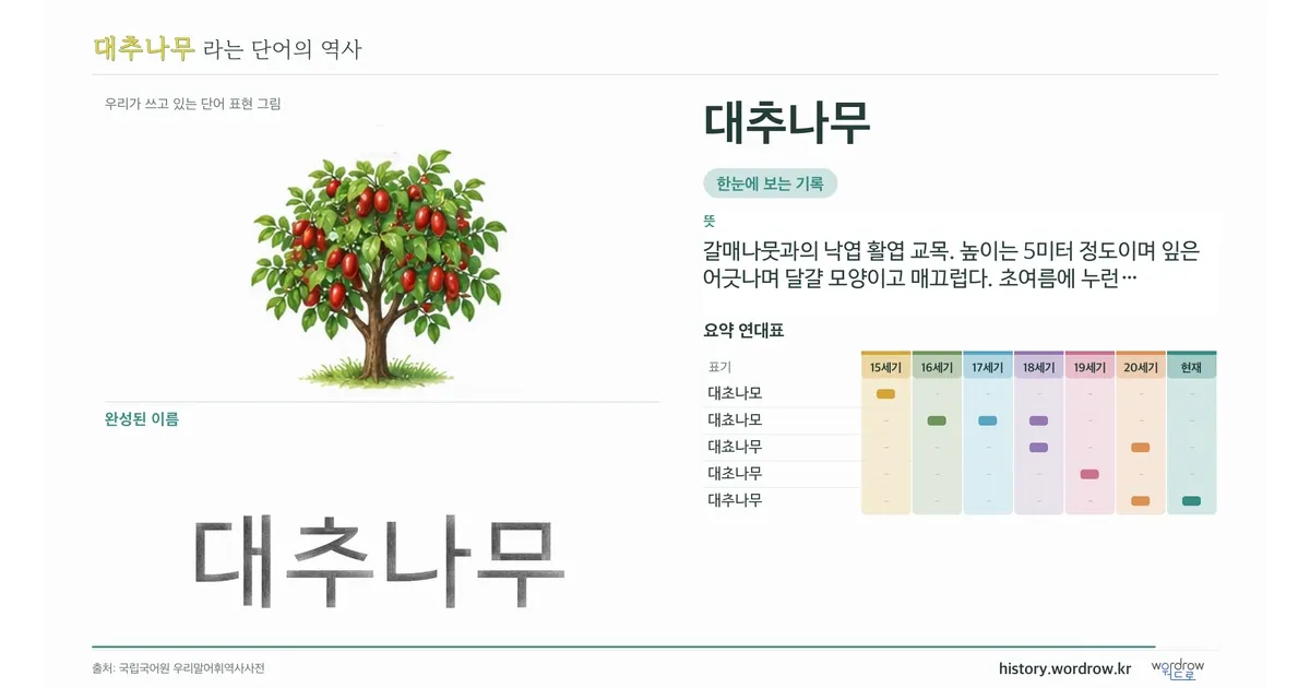 대추나무 대표 이미지