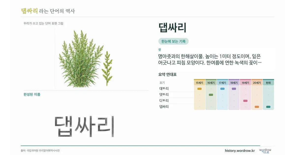 댑싸리 대표 이미지