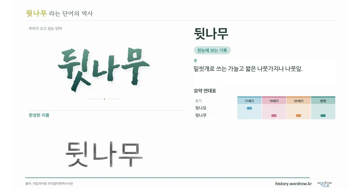 뒷나무 대표 이미지