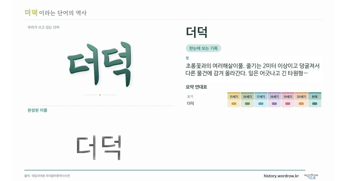 더덕 대표 이미지