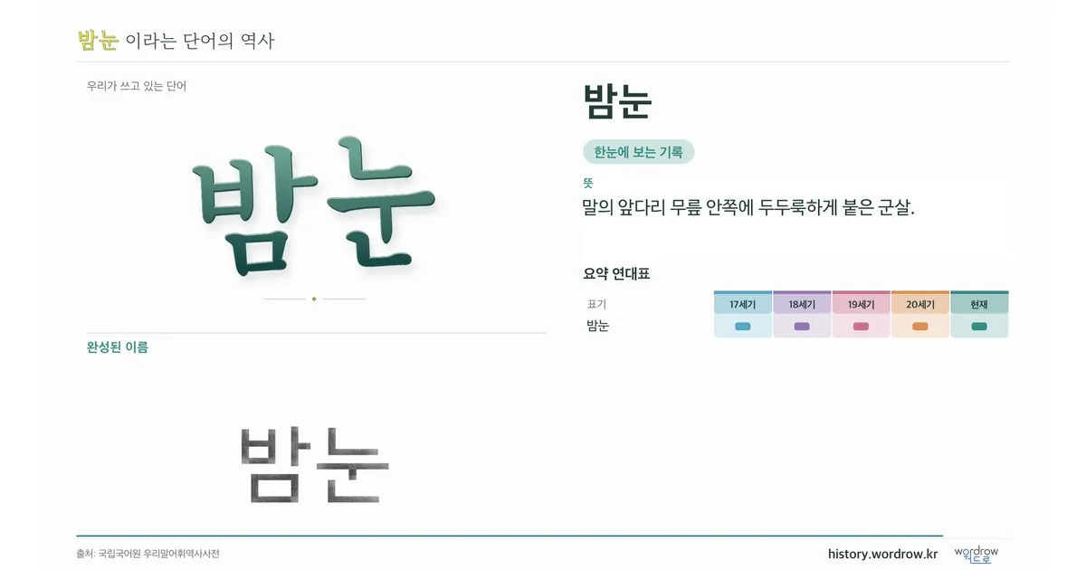 밤눈 대표 이미지