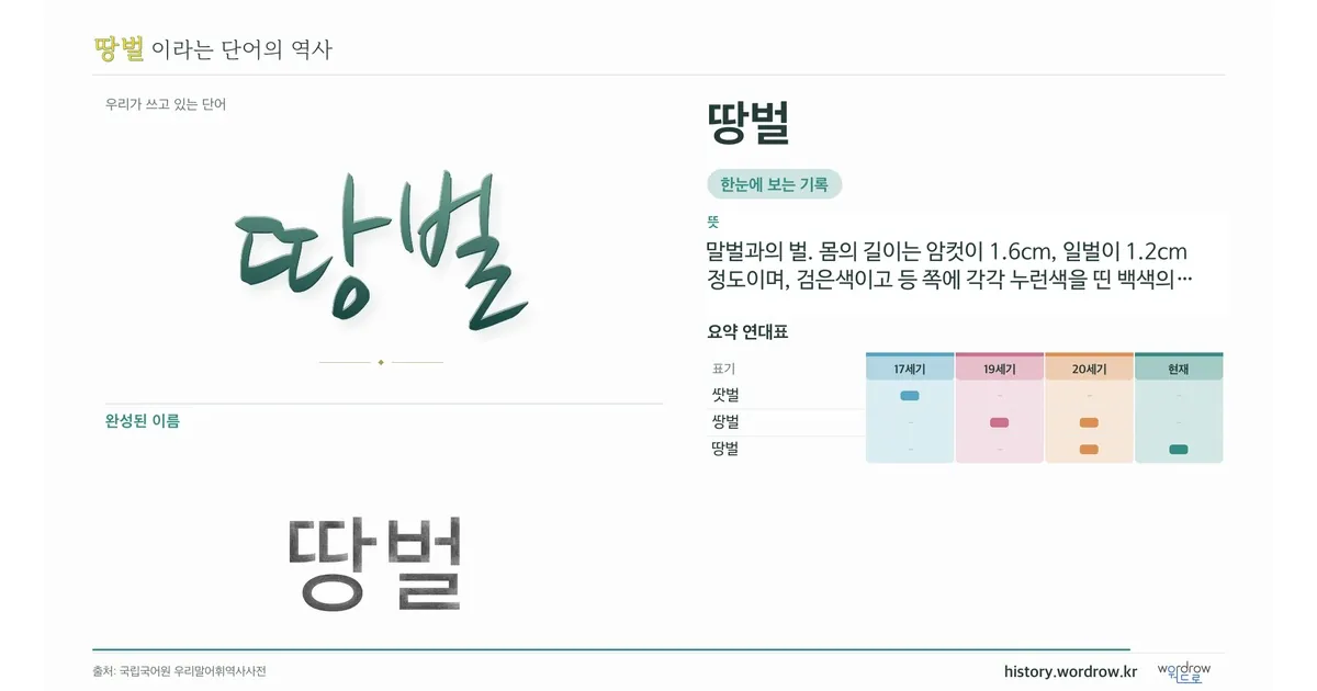 땅벌 대표 이미지