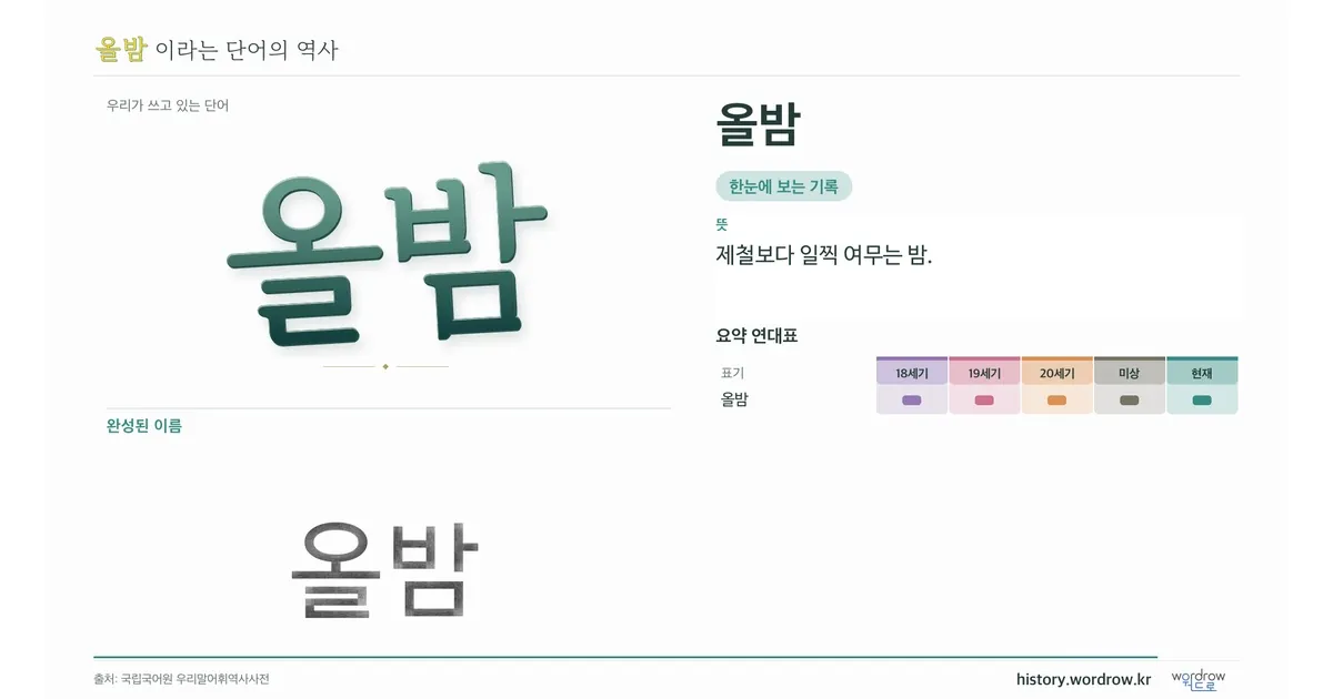 올밤 대표 이미지