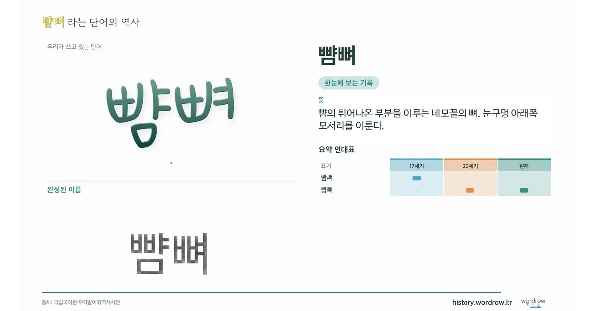뺨뼈 대표 이미지