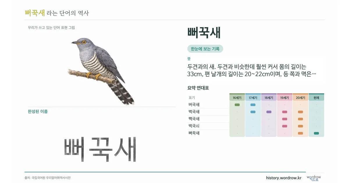 뻐꾹새 대표 이미지