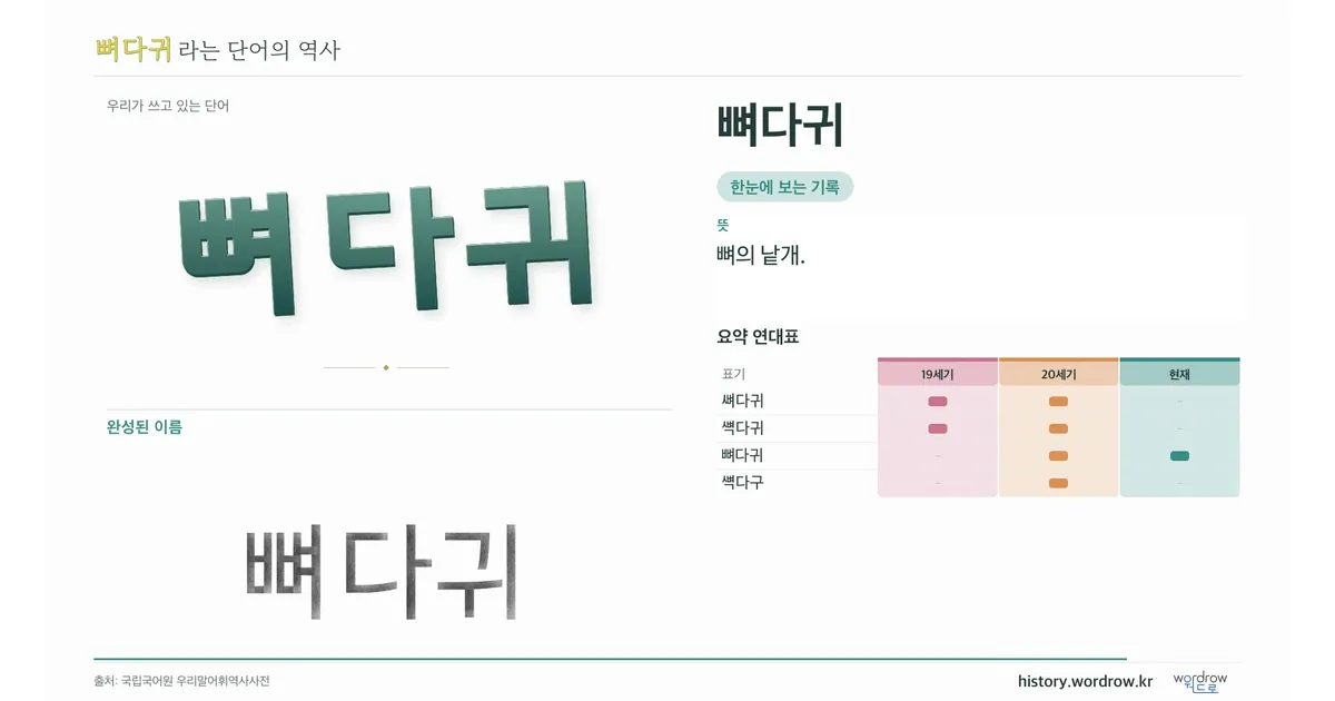 뼈다귀 대표 이미지