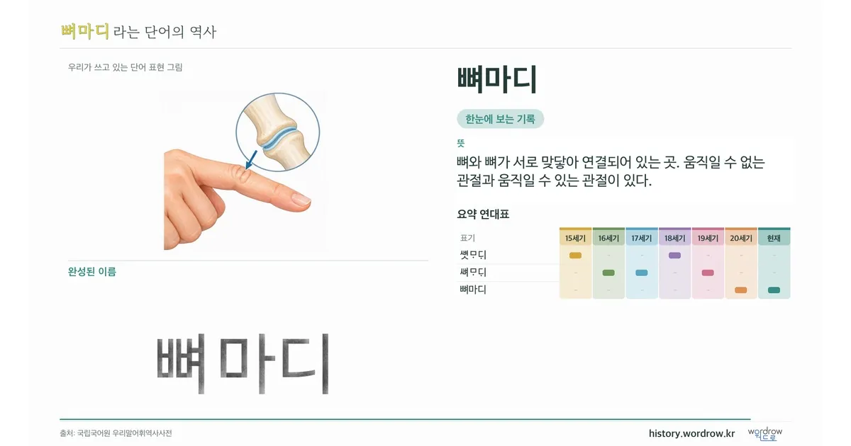 뼈마디 대표 이미지