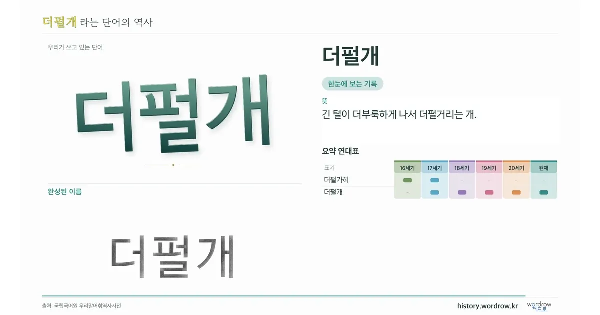 더펄개 대표 이미지