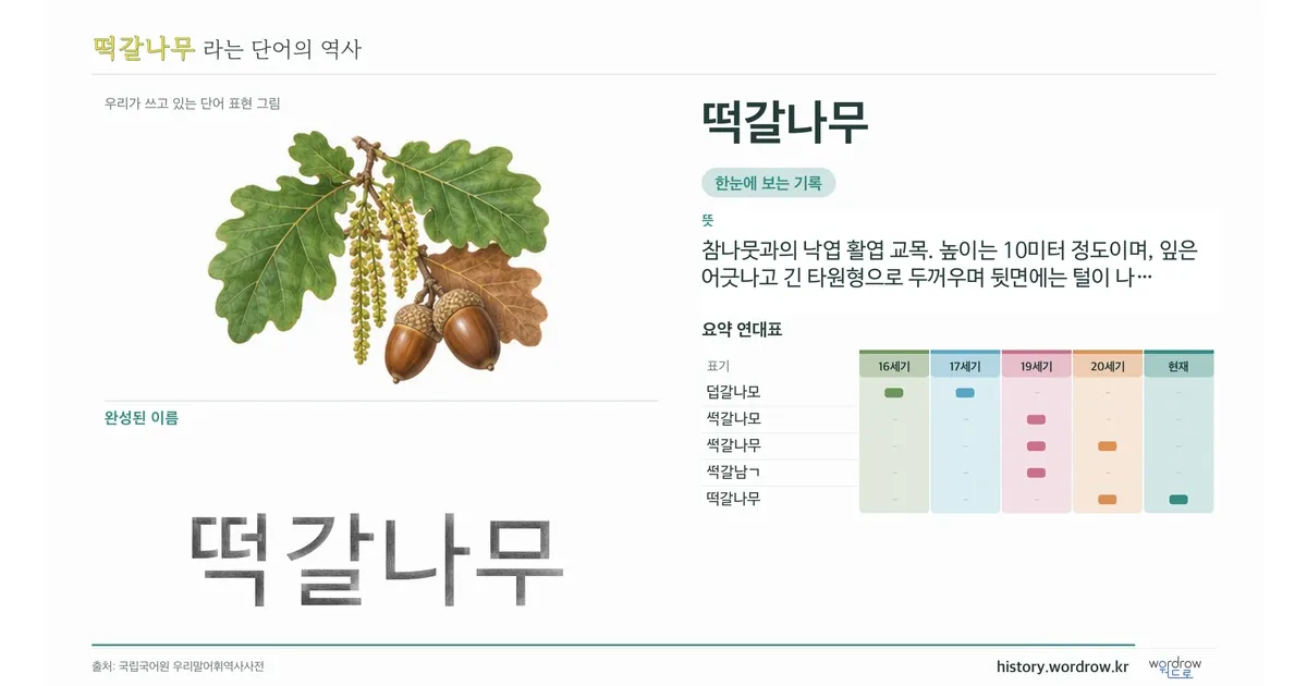 떡갈나무 대표 이미지