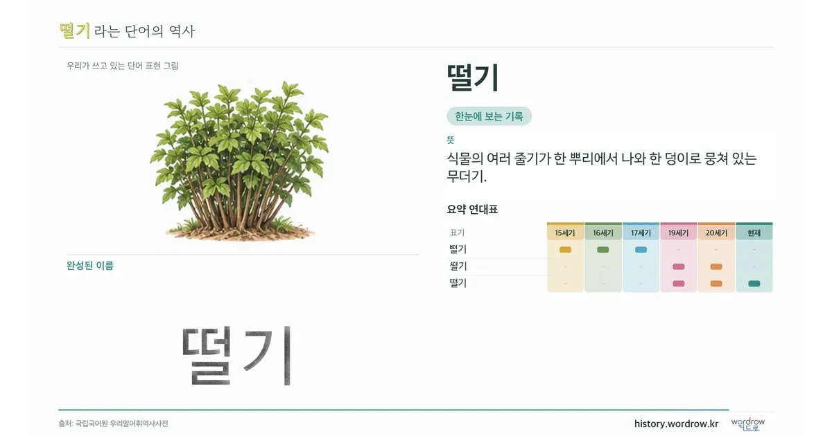떨기 대표 이미지