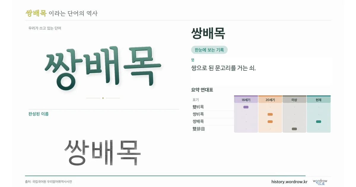 쌍배목 대표 이미지