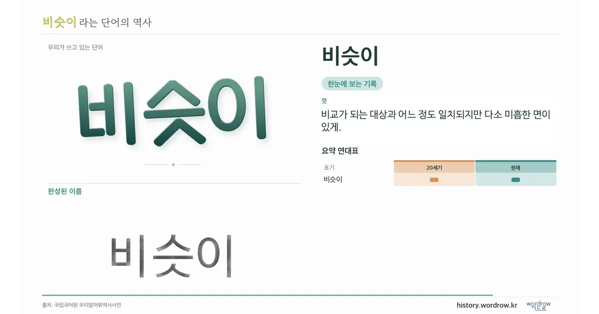 비슷이 대표 이미지