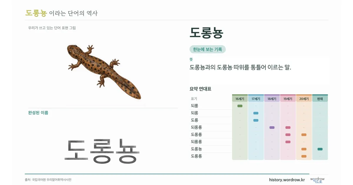 도롱뇽 대표 이미지
