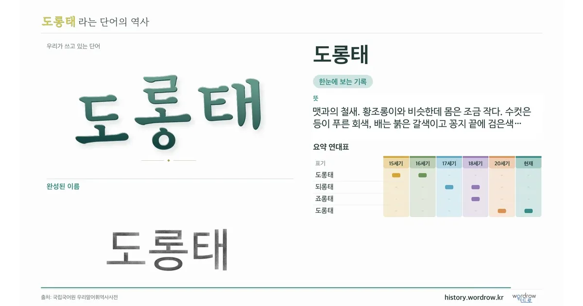 도롱태 대표 이미지