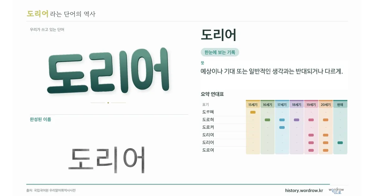 도리어 대표 이미지