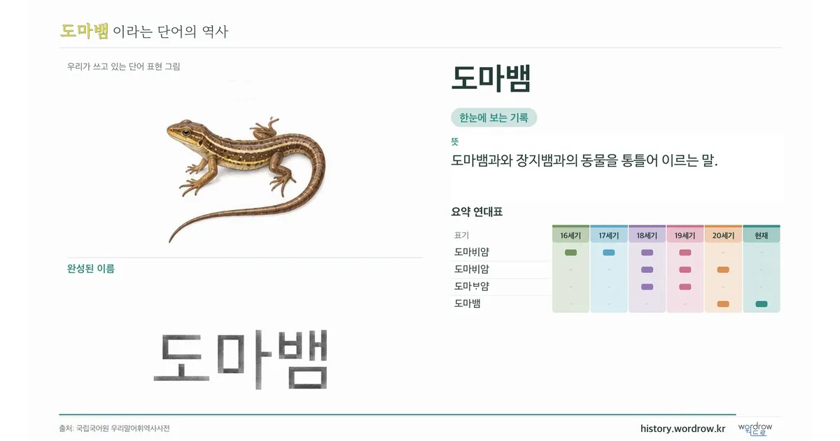 도마뱀 대표 이미지