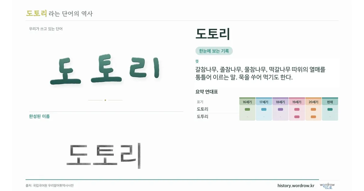 도토리 대표 이미지