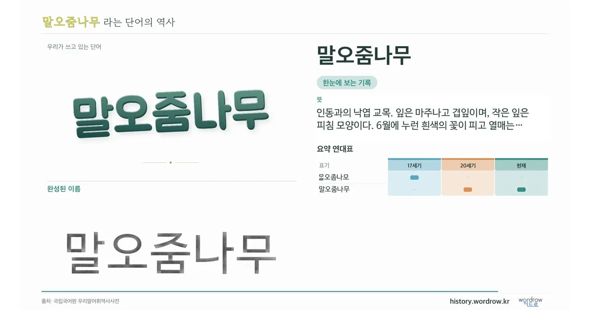 말오줌나무 대표 이미지
