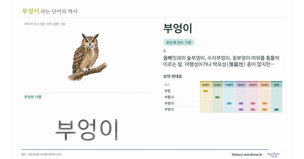 부엉이 대표 이미지