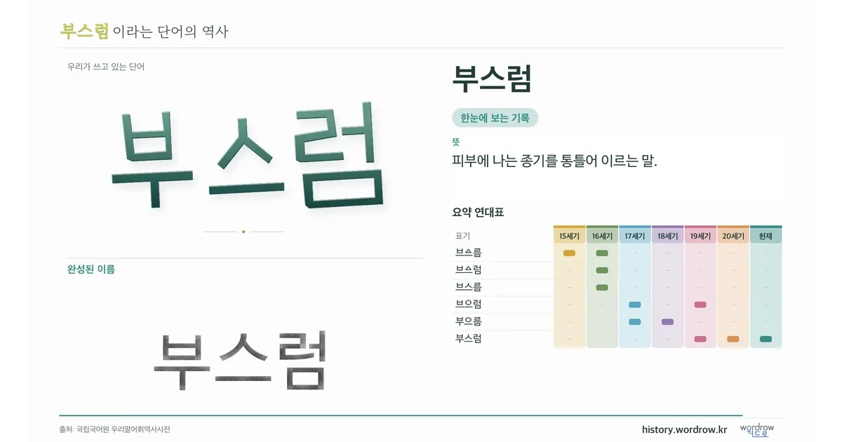 부스럼 대표 이미지