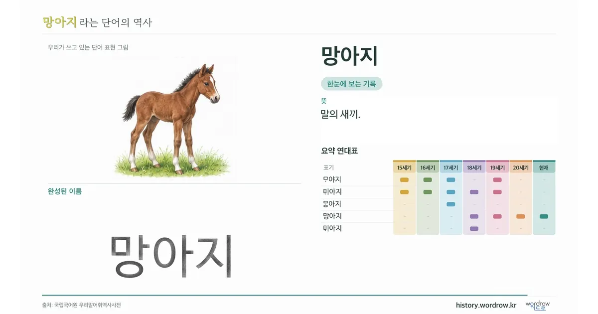 망아지 대표 이미지