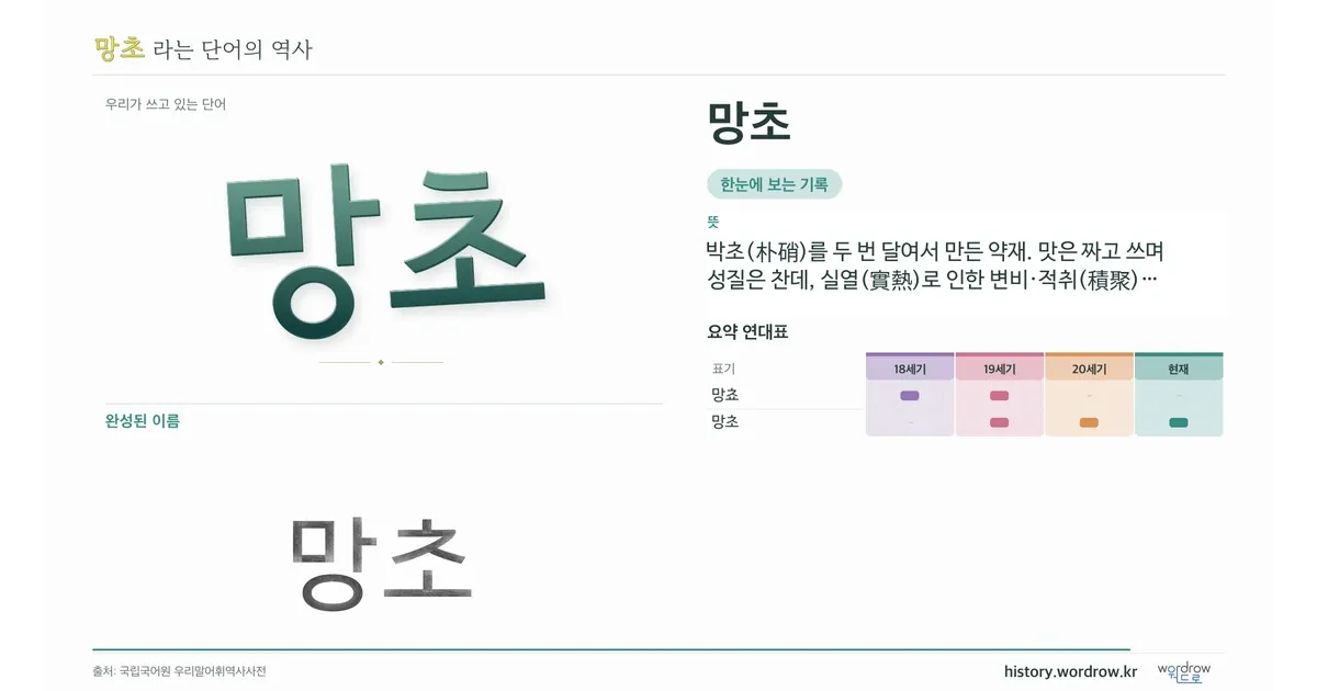 망초 대표 이미지