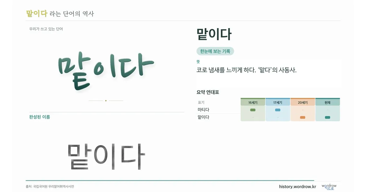 맡이다 대표 이미지