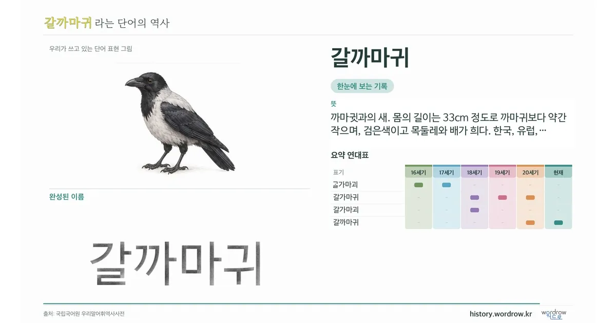 갈까마귀 대표 이미지
