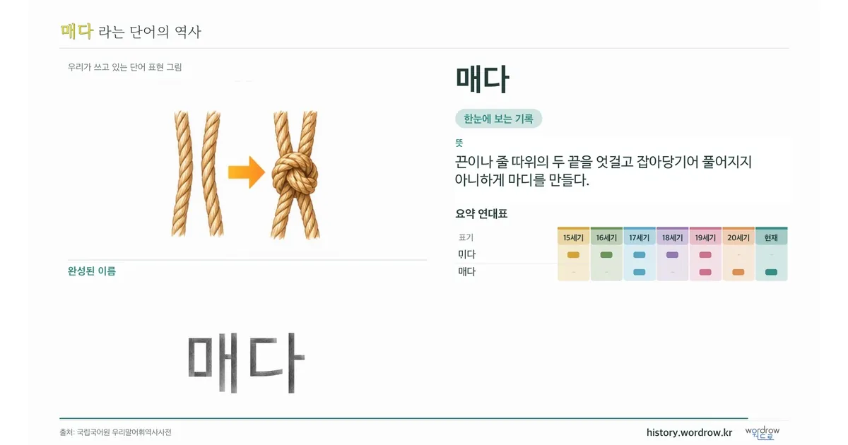 매다 대표 이미지