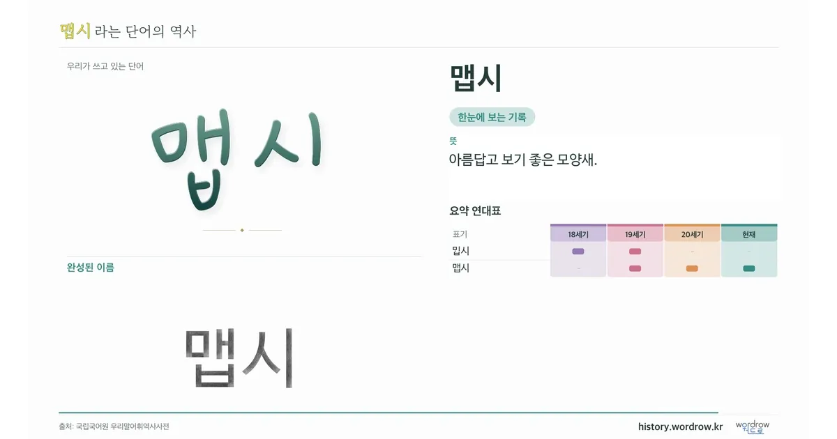 맵시 대표 이미지