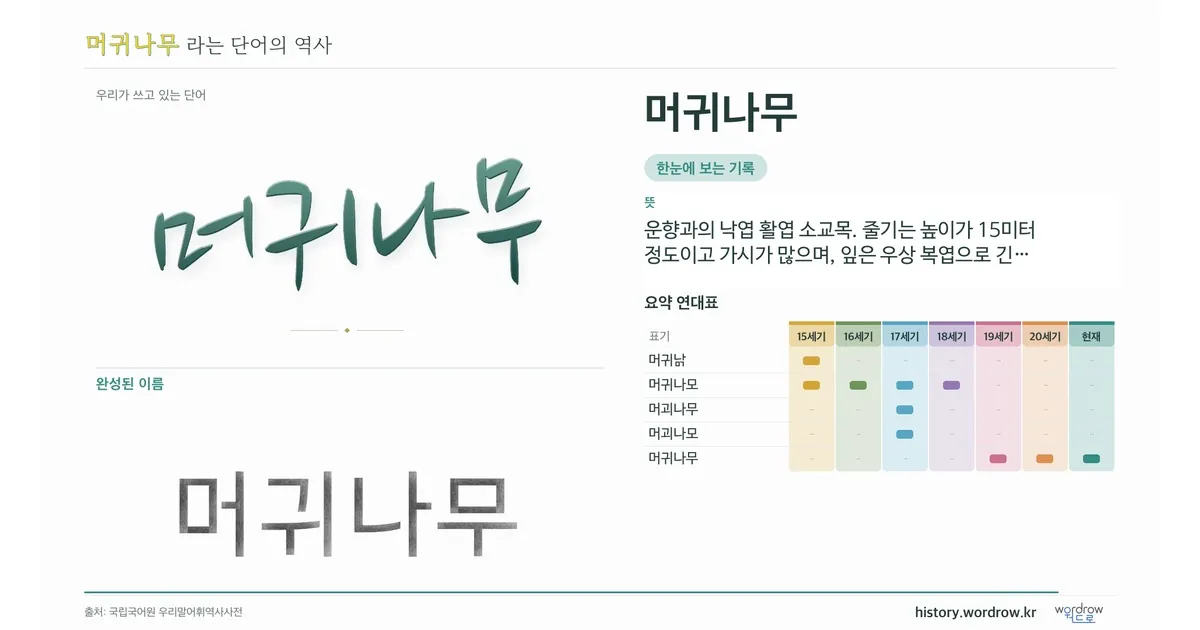 머귀나무 대표 이미지