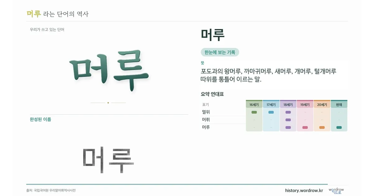 머루 대표 이미지