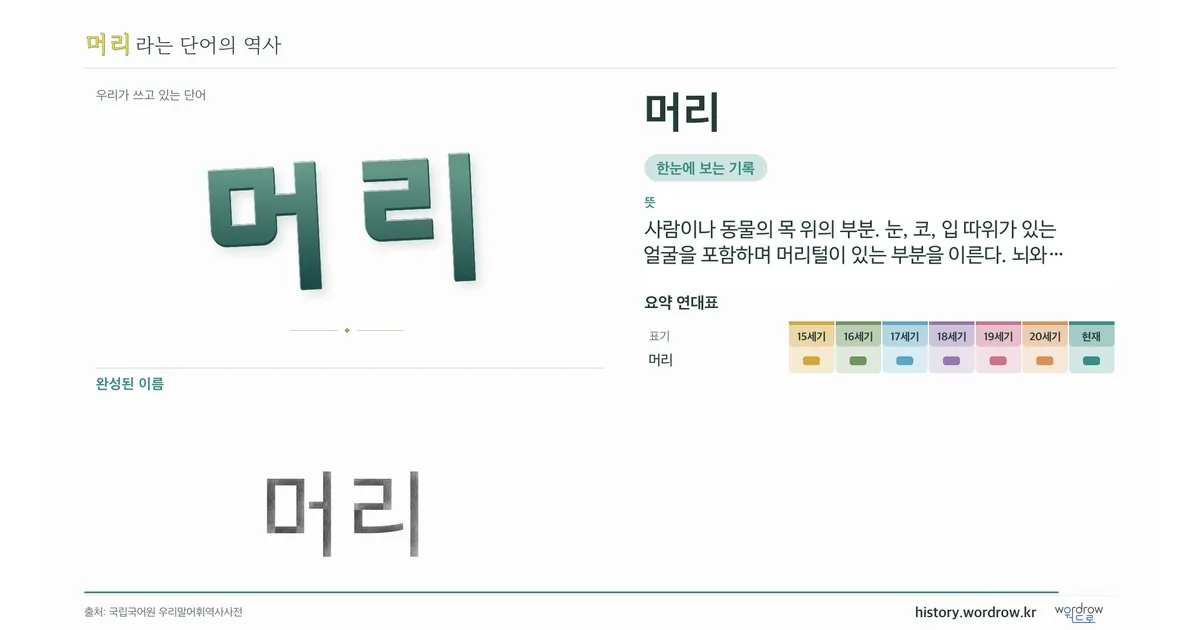 머리 대표 이미지