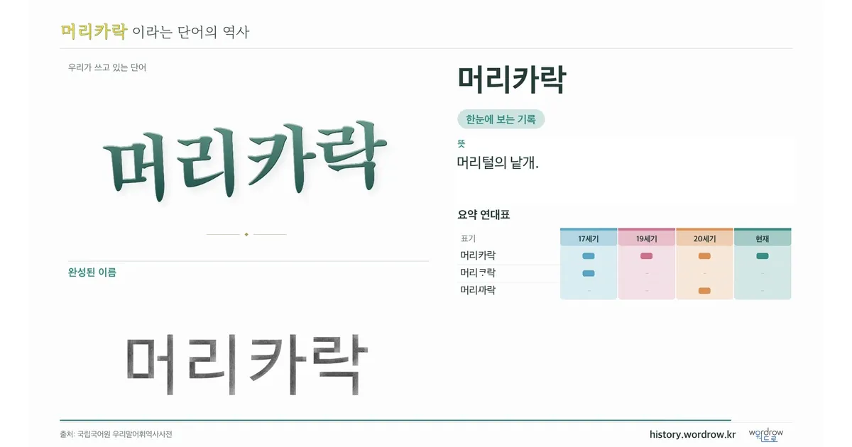 머리카락 대표 이미지