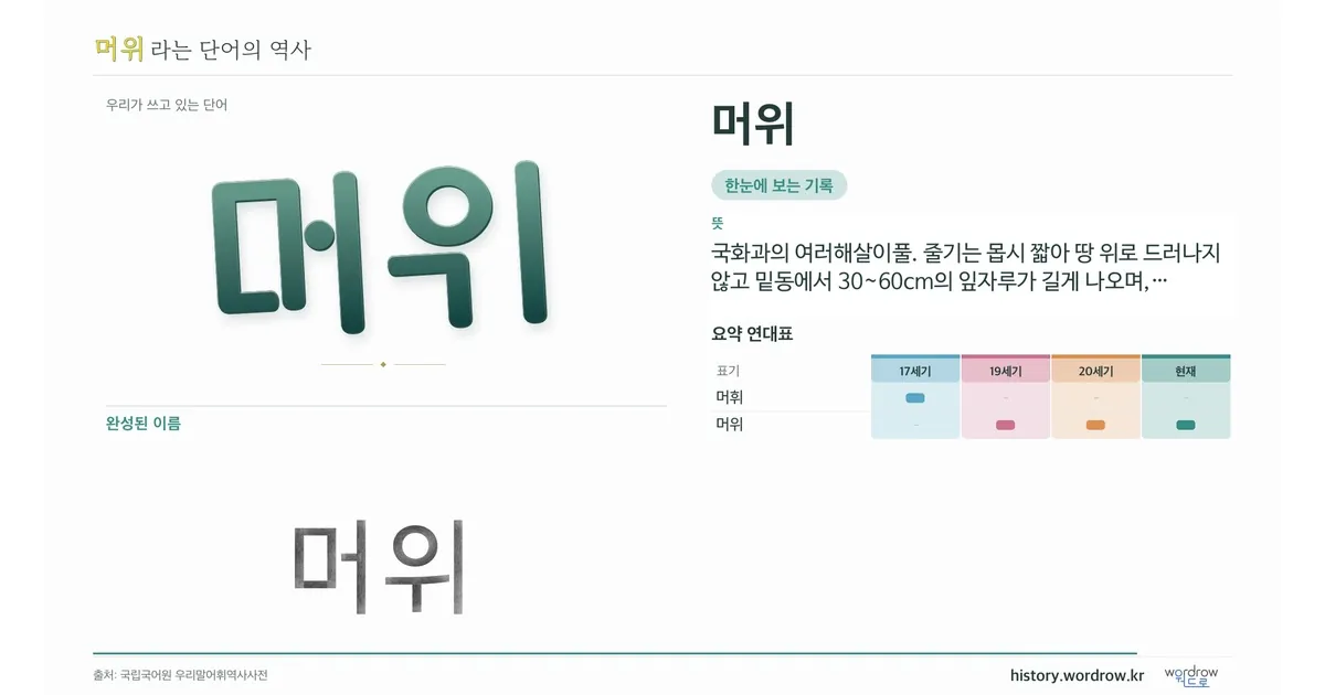 머위 대표 이미지