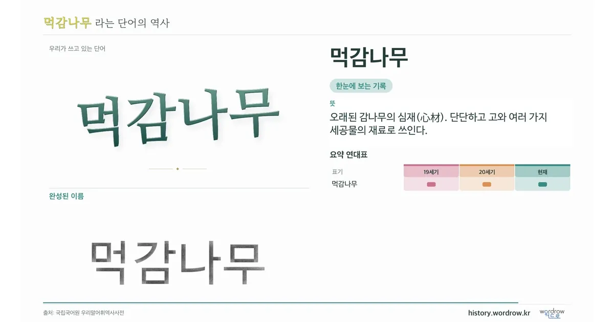 먹감나무 대표 이미지