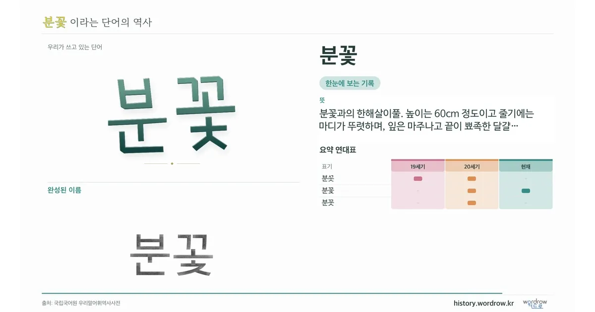 분꽃 대표 이미지