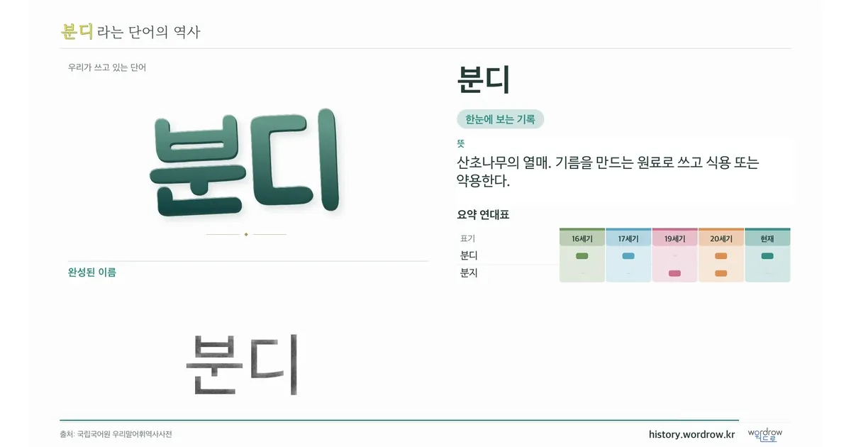 분디 대표 이미지