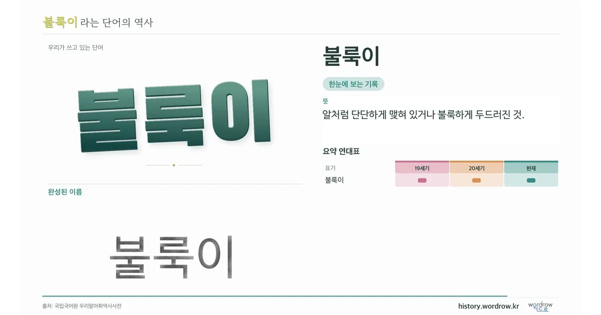 불룩이 대표 이미지