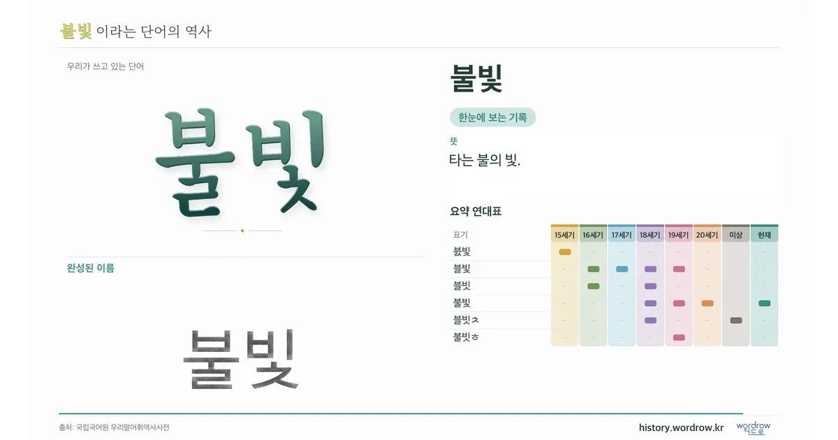 불빛 대표 이미지
