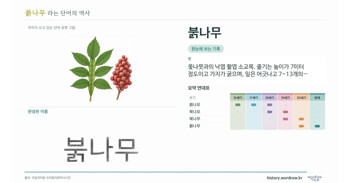 붉나무 대표 이미지