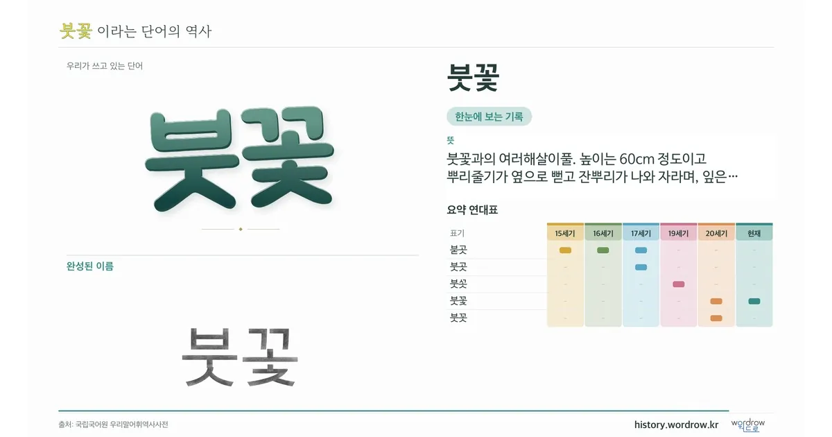 붓꽃 대표 이미지